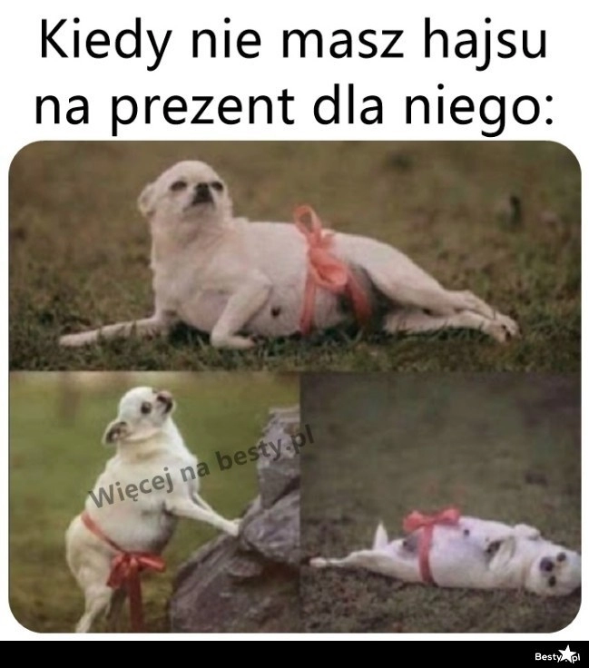 
    Klasycznie 