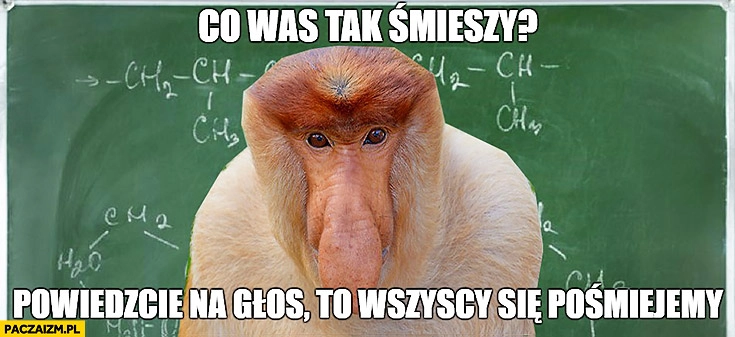 
    Co was tak śmieszy? Powiedzcie na głos, to wszyscy się pośmiejemy typowy Polak nosacz małpa nauczyciel