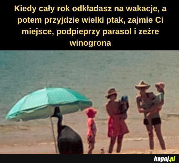 
    Miałem tak, ale z mewą.