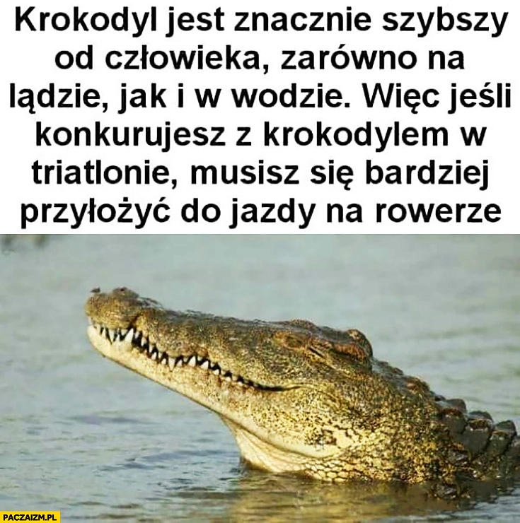 
    Krokodyl jest znacznie szybszy od człowieka zarówno na lądzie jak i w wodzie, więc jeśli konkurujesz z krokodylem w triathlonie musisz się bardziej przyłożyć do jazdy na rowerze