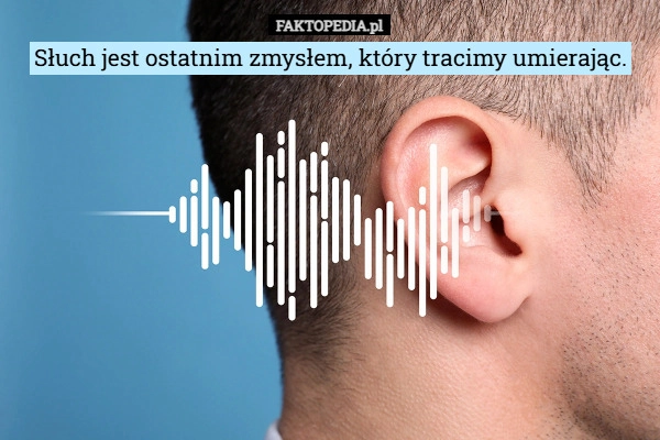 
    Słuch jest ostatnim zmysłem, który tracimy umierając.