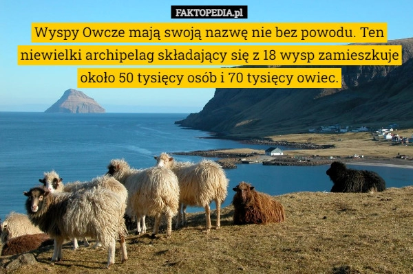 
    Wyspy Owcze mają swoją nazwę nie bez powodu. Ten niewielki archipelag składający