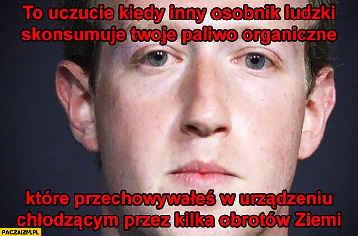 
    Mark Zuckerberg to uczucie kiedy inny osobnik ludzki skonsumuje Twoje paliwo organiczne które przechowywałeś w urządzeniu chłodzącym przez kilka obrotów ziemi