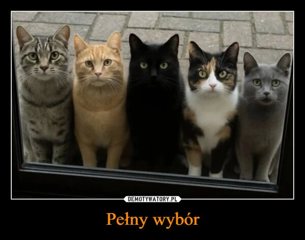
    Pełny wybór