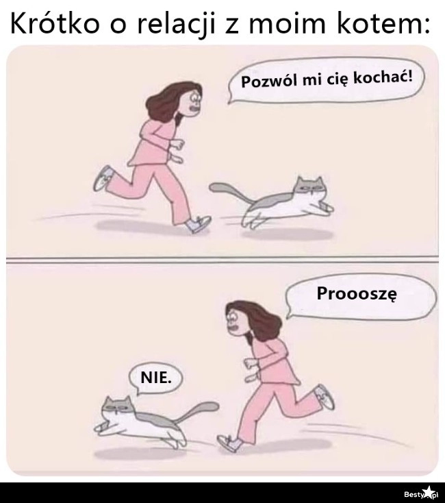 
    Relacje z kotem 