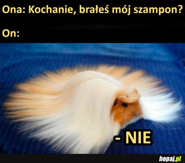 
    Nie, nic nie brałem