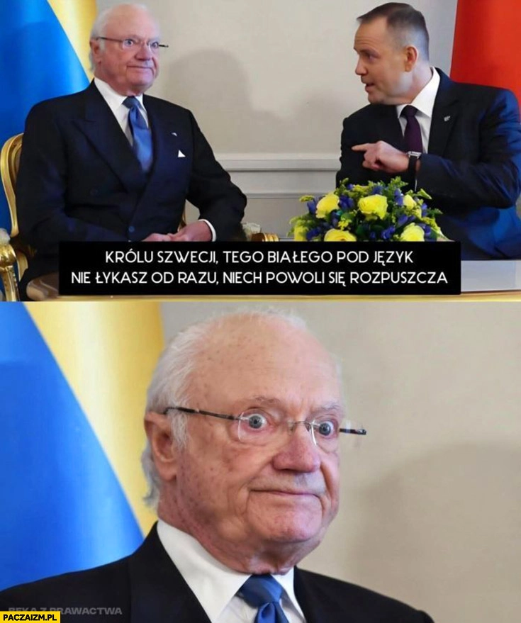 
    Nawrocki: królu Szwecji tego białego pod język, nie łykasz od razu niech powoli się rozpuszcza