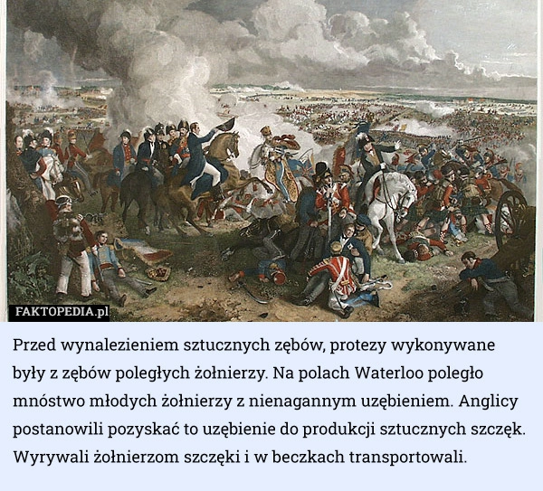 
    Przed wynalezieniem sztucznych zębów, protezy wykonywane były z zębów poległych