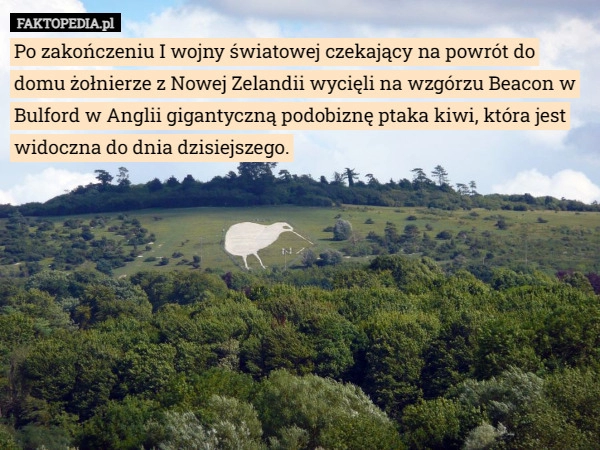 
    Po zakończeniu I wojny światowej czekający na powrót do domu żołnierze...