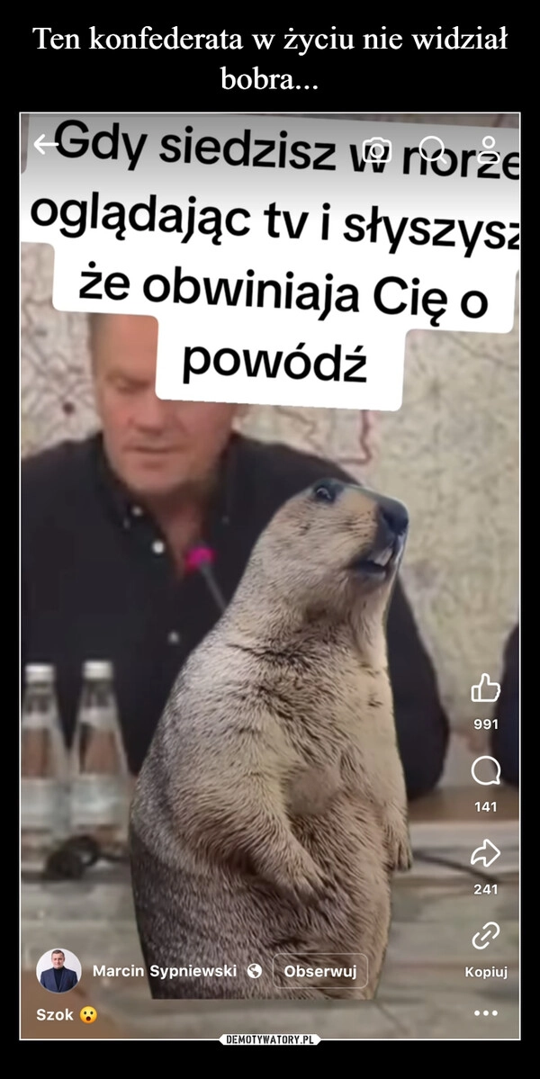 
    Ten konfederata w życiu nie widział bobra...