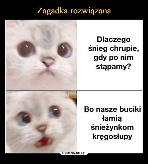 
    
Zagadka rozwiązana 