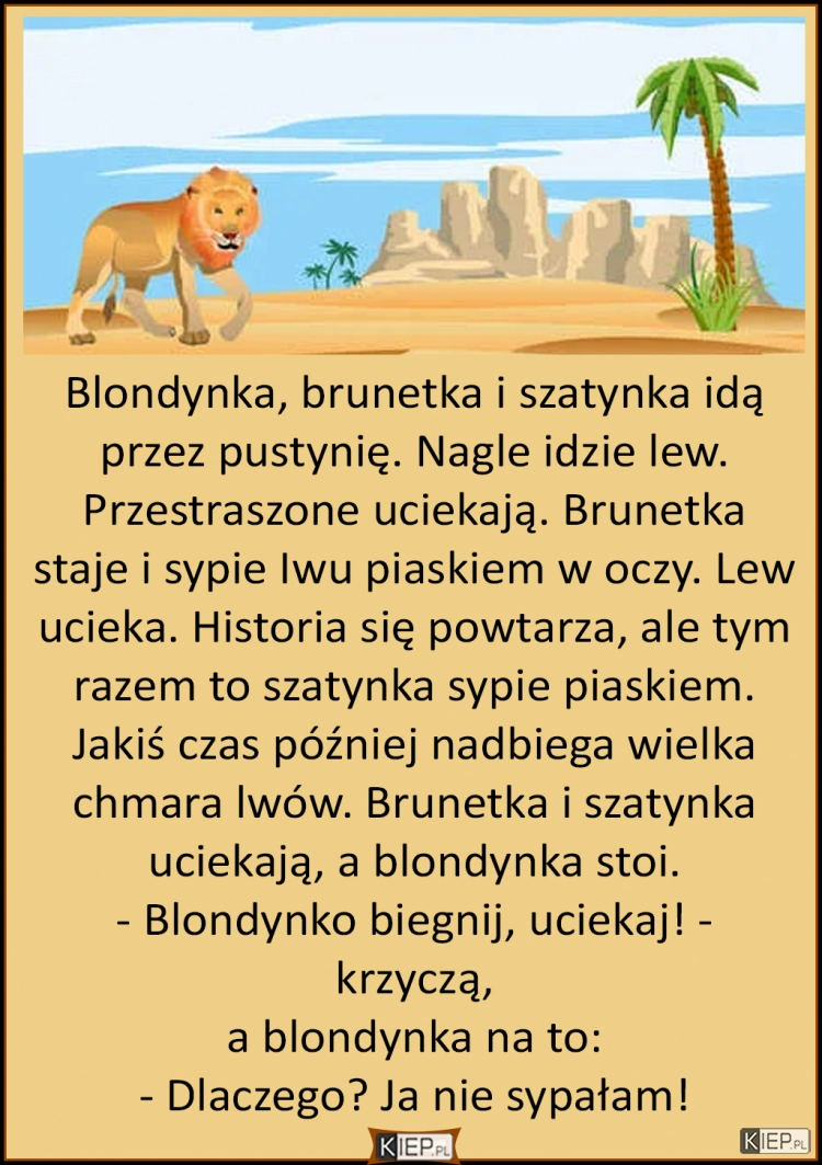 
    Blondynka, brunetka i szatynka idą przez pustynię. Nagle idzie lew...