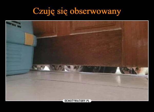 
    Czuję się obserwowany