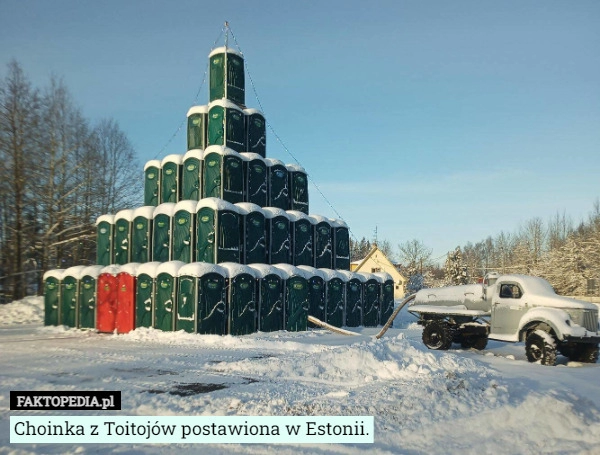 
    Choinka z Toitojów postawiona w Estonii.