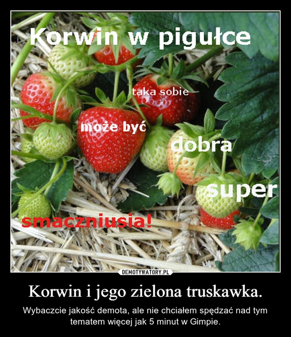 
    Korwin i jego zielona truskawka.