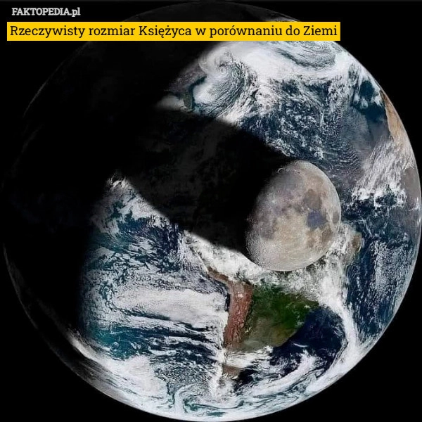 
    Rzeczywisty rozmiar Księżyca w porównaniu do Ziemi