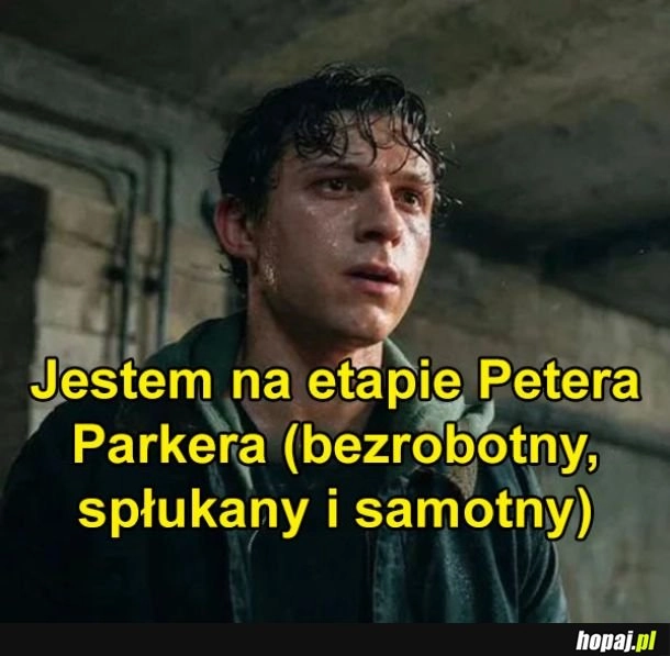 
    Etap Petera Parkera