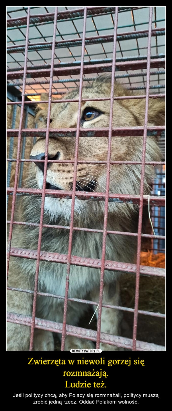 
    Zwierzęta w niewoli gorzej się rozmnażają.
Ludzie też.