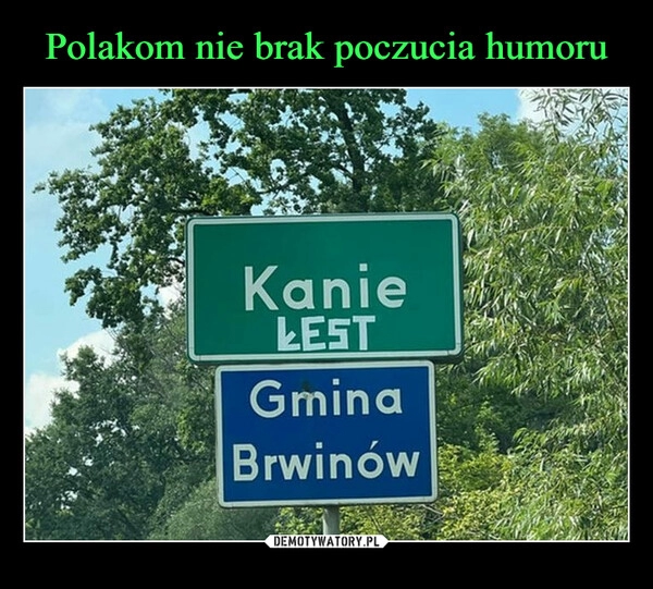 
    Polakom nie brak poczucia humoru