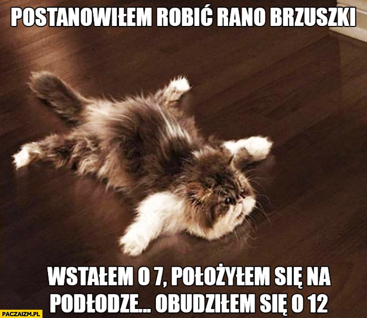 
    Postanowiłem robić rano brzuszki wstałem o 7 położyłem się na podłodze obudziłem się o 12 kot