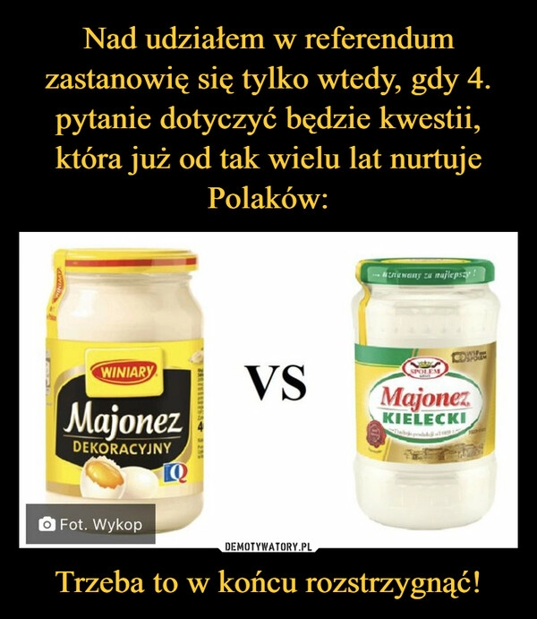 
    Nad udziałem w referendum zastanowię się tylko wtedy, gdy 4. pytanie dotyczyć będzie kwestii, która już od tak wielu lat nurtuje Polaków: Trzeba to w końcu rozstrzygnąć!