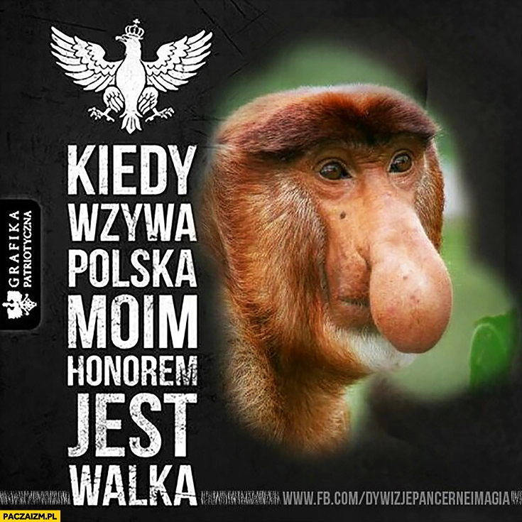 
    Kiedy wzywa Polska moim honorem jest walka typowy Polak nosacz małpa