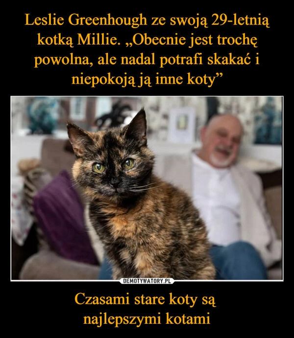 
    Leslie Greenhough ze swoją 29-letnią kotką Millie. „Obecnie jest trochę powolna, ale nadal potrafi skakać i niepokoją ją inne koty” Czasami stare koty są 
najlepszymi kotami