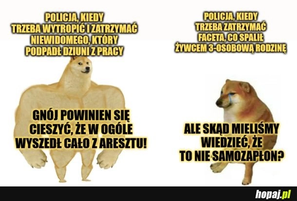 
    Policja.