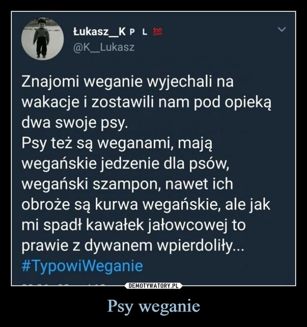 
    Psy weganie