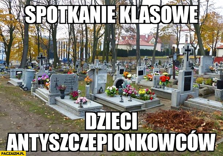 
    Cmentarz groby spotkanie klasowe dzieci antyszczepionkowców