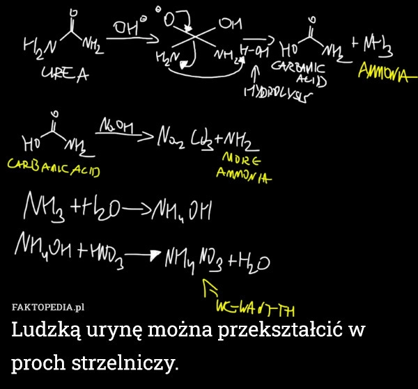 
    Ludzką urynę można przekształcić w proch strzelniczy.