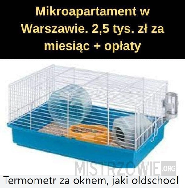 
    Mikroapartament