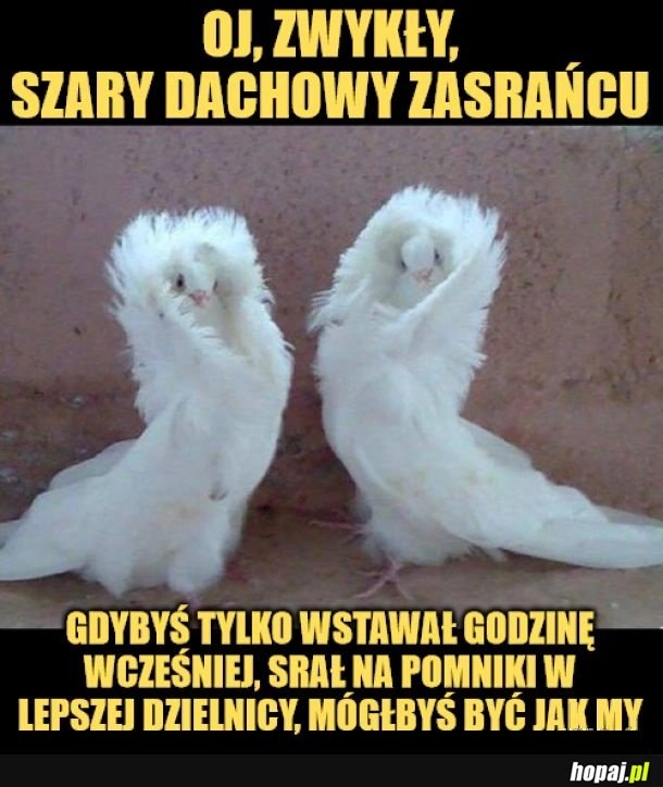 
    Motywacja.