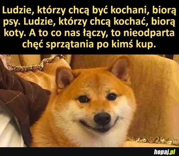 
    Łączy nas jedna rzecz