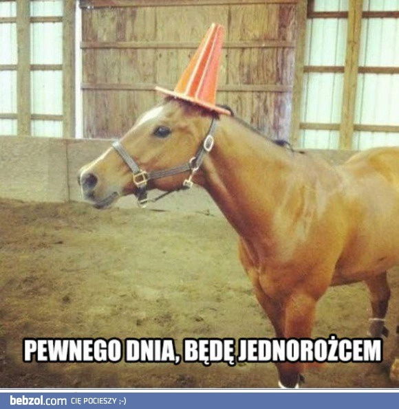 
    Pewnego dnia
