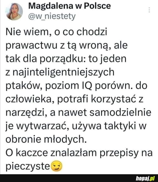 
    Rozważania ornitologiczne