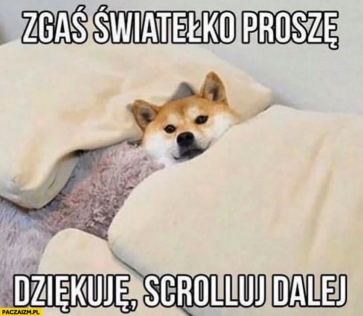 
    Pieseł zgaś światełko proszę, dziękuje scrolluj dalej