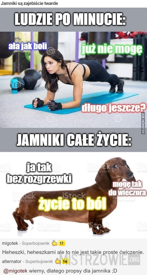 
    Jamniki