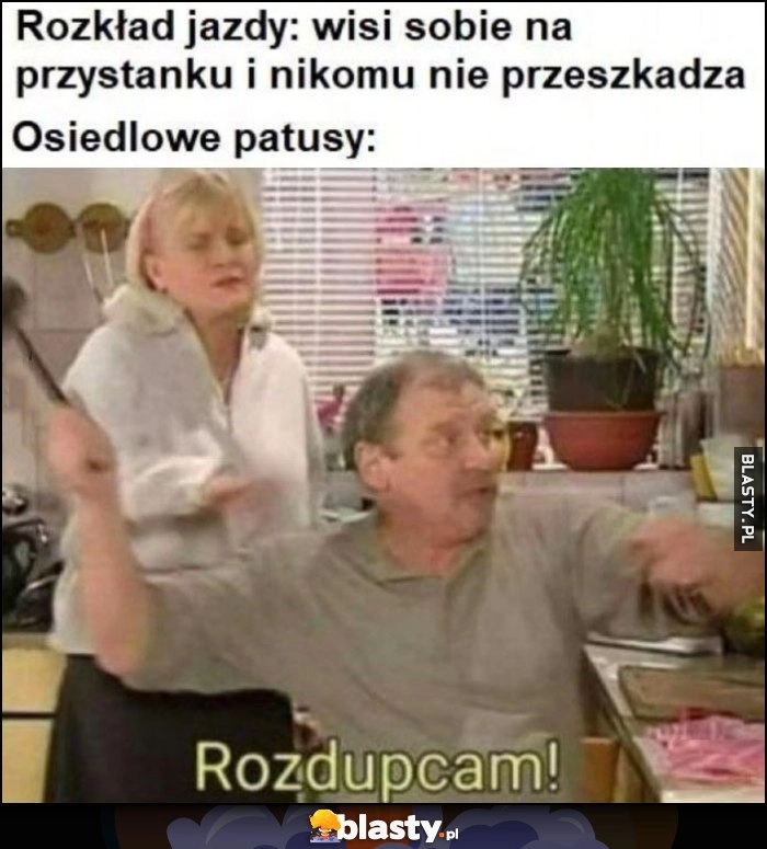 
    Rozkład jazdy: wisi sobie na przystanku i nikomu nie przeszkadza vs osiedlowe patusy: rozdupcam