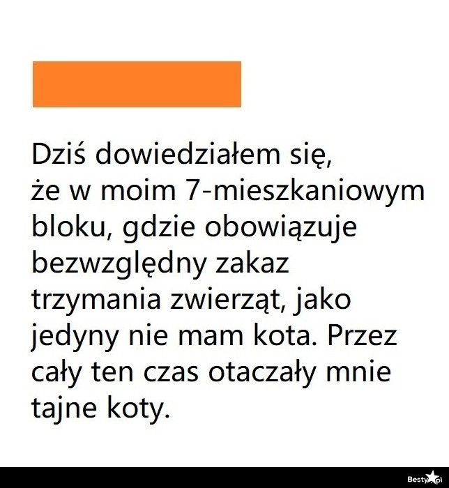 
    Blok bez zwierząt 