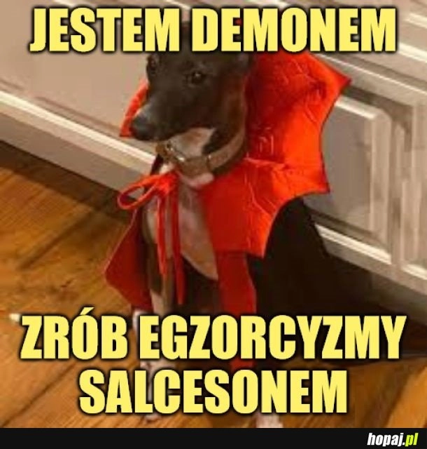 
    Egzorcyzmy.