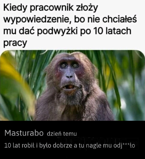 
    Niewdzięczny pracownik