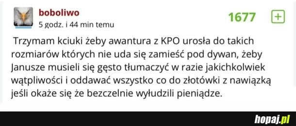
    Afera z KPO