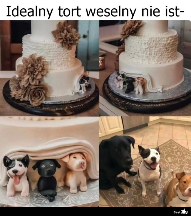 
    Tort weselny 