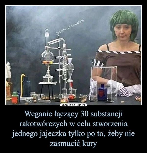 
    Weganie łączący 30 substancji rakotwórczych w celu stworzenia jednego jajeczka tylko po to, żeby nie zasmucić kury