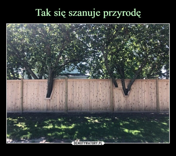 
    Tak się szanuje przyrodę