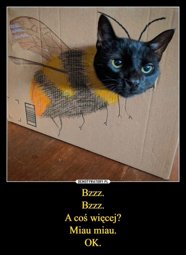 
    Bzzz.
Bzzz.
A coś więcej?
Miau miau.
OK.