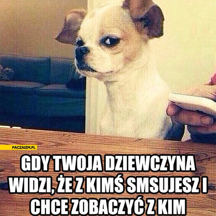 
    Gdy Twoja dziewczyna widzi że z kimś smsujesz i chce zobaczyć z kim