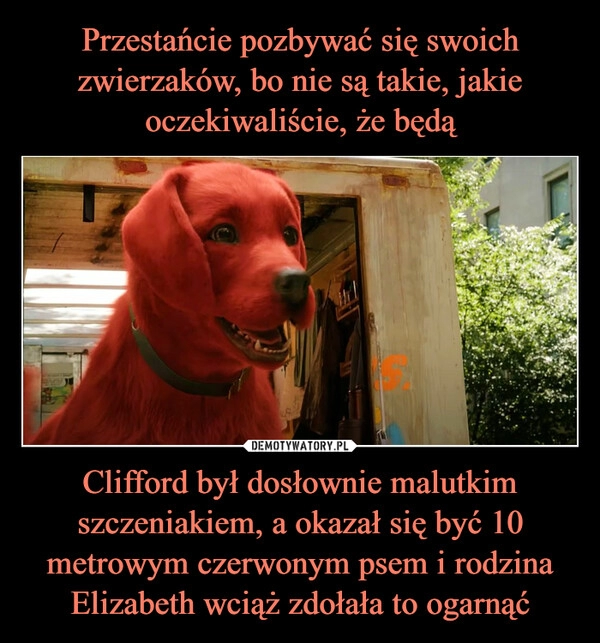 
    Przestańcie pozbywać się swoich zwierzaków, bo nie są takie, jakie oczekiwaliście, że będą Clifford był dosłownie malutkim szczeniakiem, a okazał się być 10 metrowym czerwonym psem i rodzina Elizabeth wciąż zdołała to ogarnąć