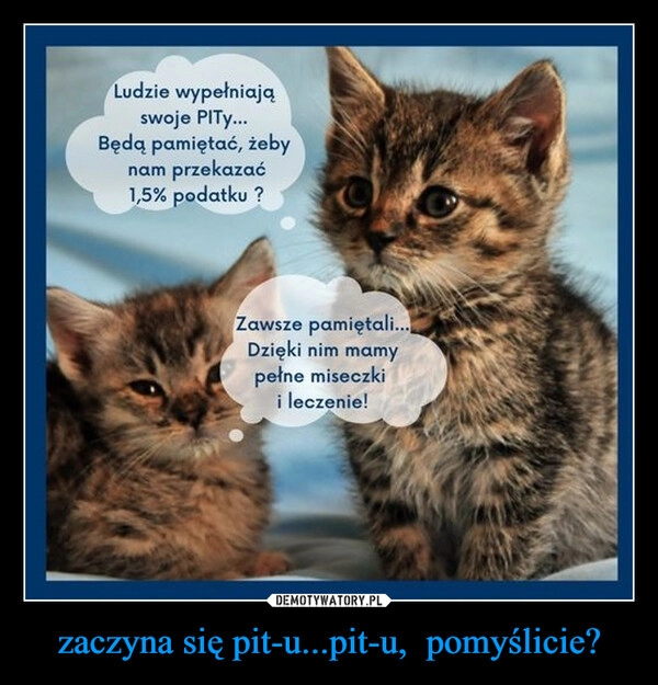 
    zaczyna się pit-u...pit-u,  pomyślicie?